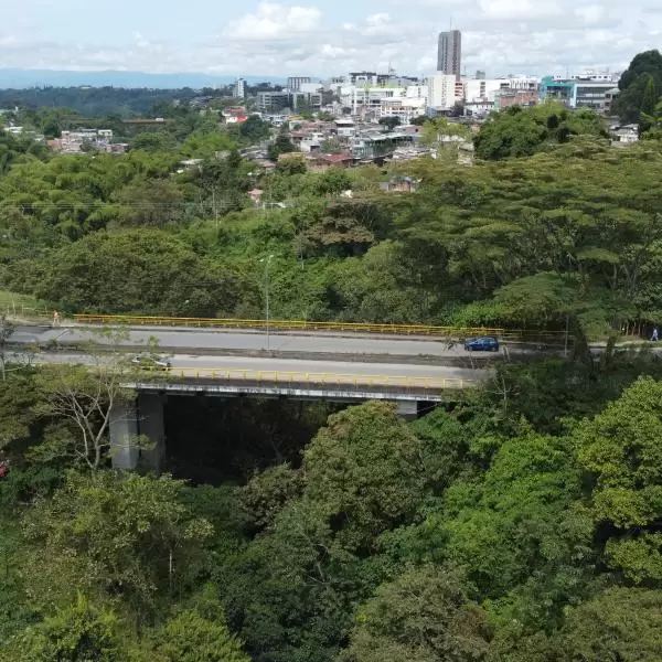 Puentes sobre Avenida Buenos Aires