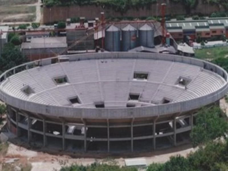 image línea de tiempo